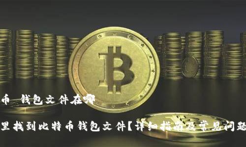 比特币 钱包文件在哪

在哪里找到比特币钱包文件？详细指南及常见问题解答