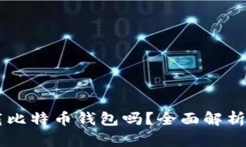 手机能下载比特币钱包吗？全面解析及使用指南